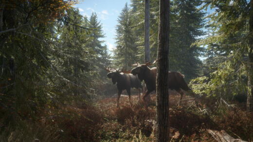 theHunter: Call of the Wild zdarma na EPICu