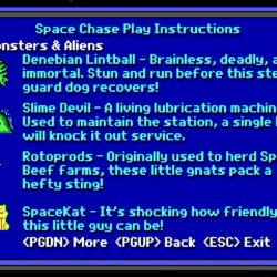 Space Chase: Duke Nukem má dvojče